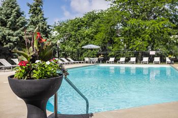 A pool with a flower pot in the foreground.